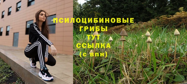 МДПВ Верея