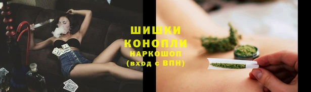 МДПВ Верея