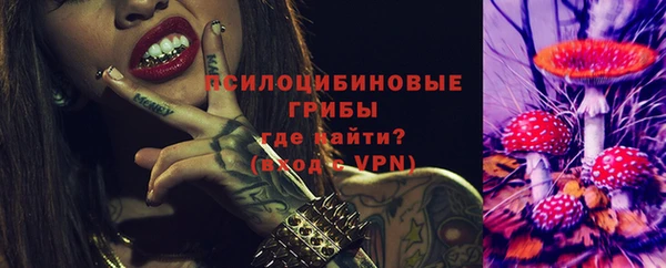 МДПВ Верея
