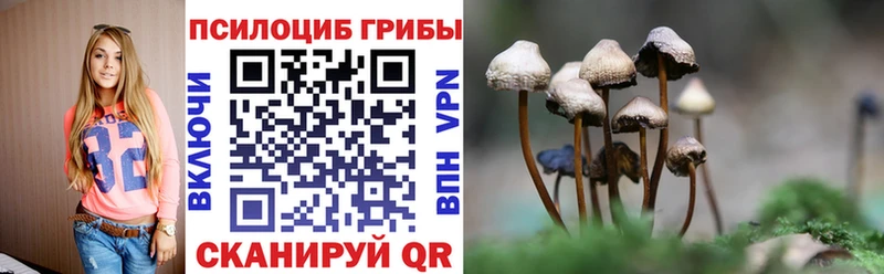 Псилоцибиновые грибы Psilocybe  купить   Балашиха 